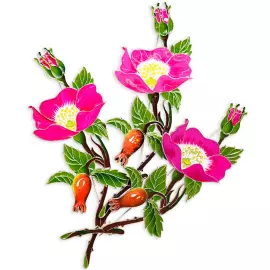 Silver brooch "Rosehip" collection "Herbarium of Tatiana Polyakova"