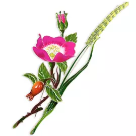 Silver brooch "Rosehip" collection "Herbarium of Tatiana Polyakova"