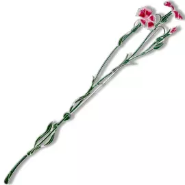 Silver brooch "Carnation field" collection "Herbarium of Tatiana Polyakova"