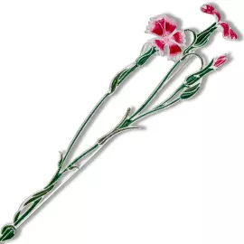 Silver brooch "Carnation field" collection "Herbarium of Tatiana Polyakova"