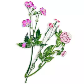 Silver brooch "Carnation field" collection "Herbarium of Tatiana Polyakova"