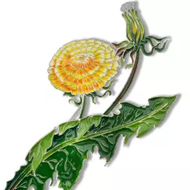 Silver brooch "Dandelion of the field" collection "Herbarium of Tatyana Polyakova"