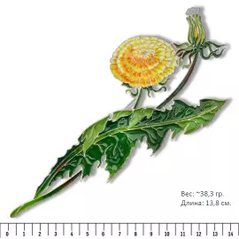 Silver brooch "Dandelion of the field" collection "Herbarium of Tatyana Polyakova"