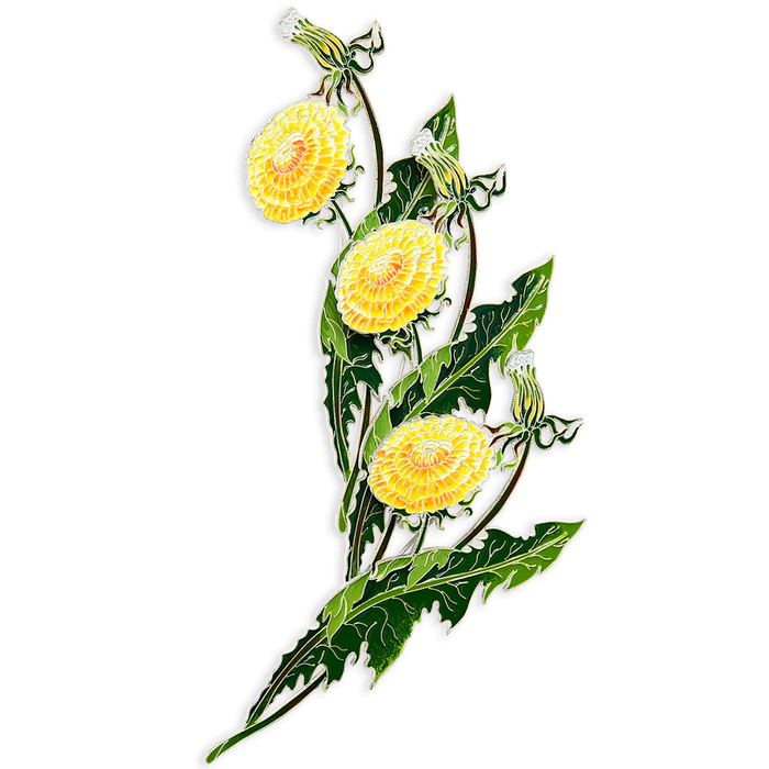 Silver brooch "Dandelion of the field" collection "Herbarium of Tatyana Polyakova"