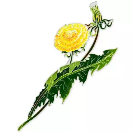 Silver brooch "Dandelion of the field" collection "Herbarium of Tatyana Polyakova"