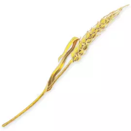 Silver brooch "Wheat" from the collection "Herbarium of Tatyana Polyakova"