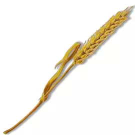 Silver brooch "Wheat" from the collection "Herbarium of Tatyana Polyakova"