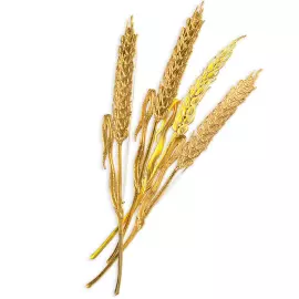 Silver brooch "Wheat" from the collection "Herbarium of Tatyana Polyakova"