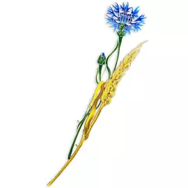 Silver brooch "Wheat" from the collection "Herbarium of Tatyana Polyakova"