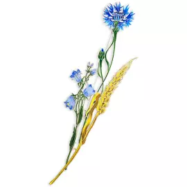 Silver brooch "Wheat" from the collection "Herbarium of Tatyana Polyakova"