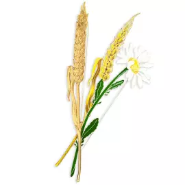 Silver brooch "Wheat" from the collection "Herbarium of Tatyana Polyakova"