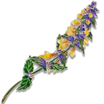 Silver brooch "Ivan da Marya" from the collection "Herbarium of Tatyana Polyakova"