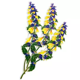 Silver brooch "Ivan da Marya" from the collection "Herbarium of Tatyana Polyakova"