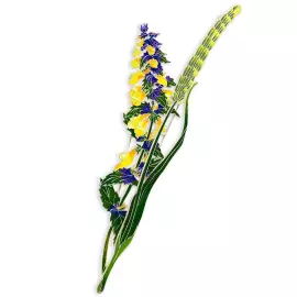 Silver brooch "Ivan da Marya" from the collection "Herbarium of Tatyana Polyakova"