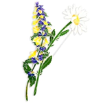Silver brooch "Ivan da Marya" from the collection "Herbarium of Tatyana Polyakova"
