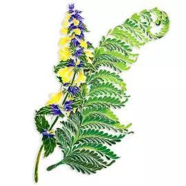 Silver brooch "Ivan da Marya" from the collection "Herbarium of Tatyana Polyakova"