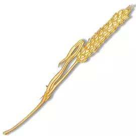 Silver brooch "Wheat" from the collection "Herbarium of Tatyana Polyakova"