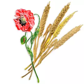 Silver brooch "Wheat" from the collection "Herbarium of Tatyana Polyakova"