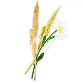 Silver brooch "Wheat" from the collection "Herbarium of Tatyana Polyakova"