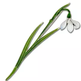Silver brooch "Snowdrop" from the collection "Herbarium of Tatyana Polyakova"