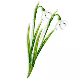 Silver brooch "Snowdrop" from the collection "Herbarium of Tatyana Polyakova"