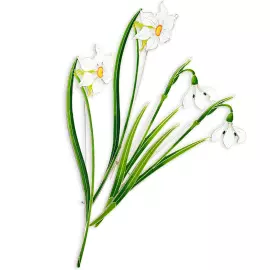 Silver brooch "Snowdrop" from the collection "Herbarium of Tatyana Polyakova"