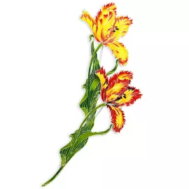 Silver brooch "Elaginsky tulip" from the collection "Herbarium of Tatyana Polyakova"