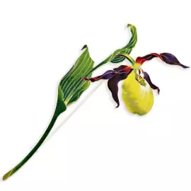 Silver brooch "Venus's slipper" collection "Herbarium of Tatiana Polyakova"