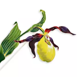 Silver brooch "Venus's slipper" collection "Herbarium of Tatiana Polyakova"