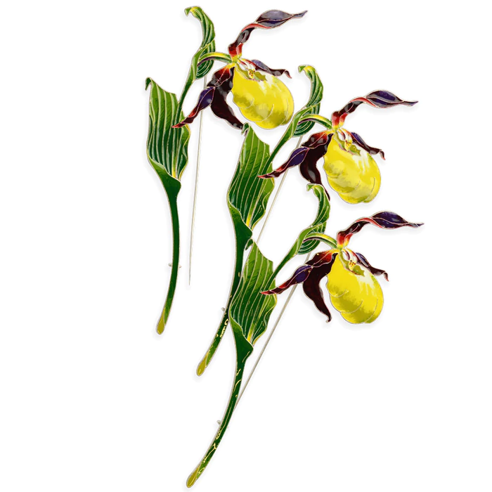Silver brooch "Venus's slipper" collection "Herbarium of Tatiana Polyakova"