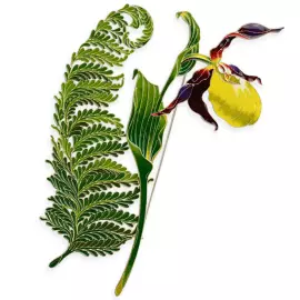 Silver brooch "Venus's slipper" collection "Herbarium of Tatiana Polyakova"