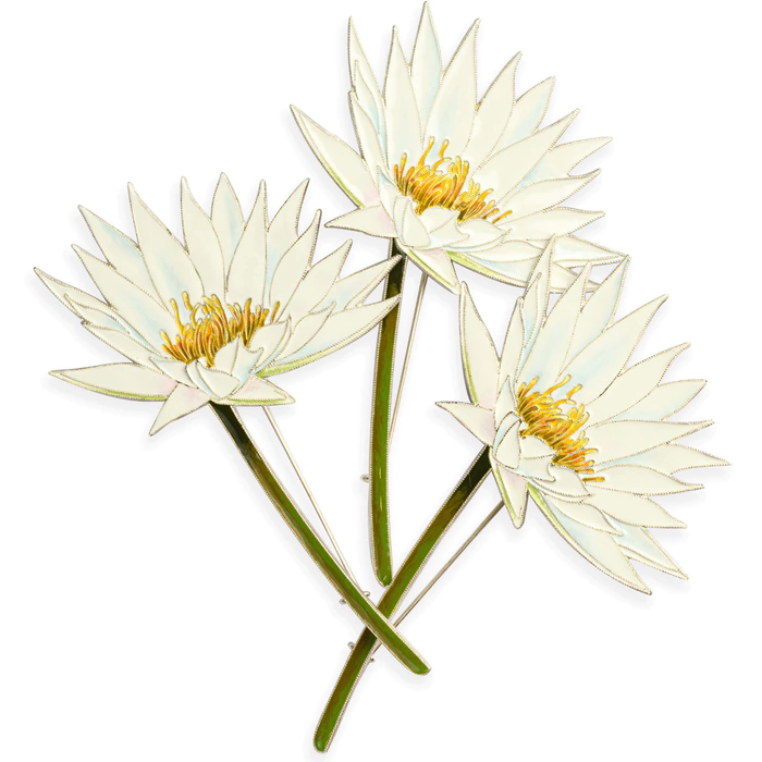 Silver brooch "Water Lily" from the collection "Herbarium of Tatyana Polyakova"
