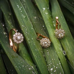 Earrings made of red gold with diamonds