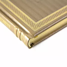 The leather-bound book "The Illustrated History of Medicine"