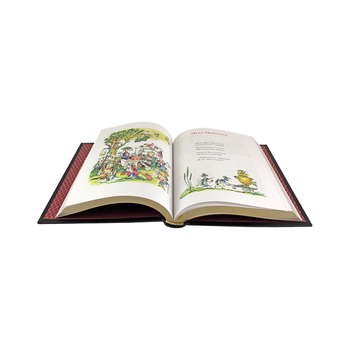 The leather-bound book "Aibolit. Fairy tales." Chukovsky K. I.