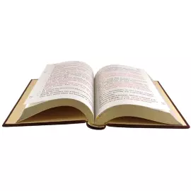The leather-bound book "The Holy Gospel"