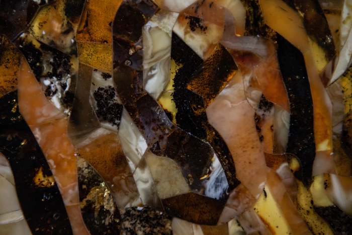 Amber panel "Tiger"