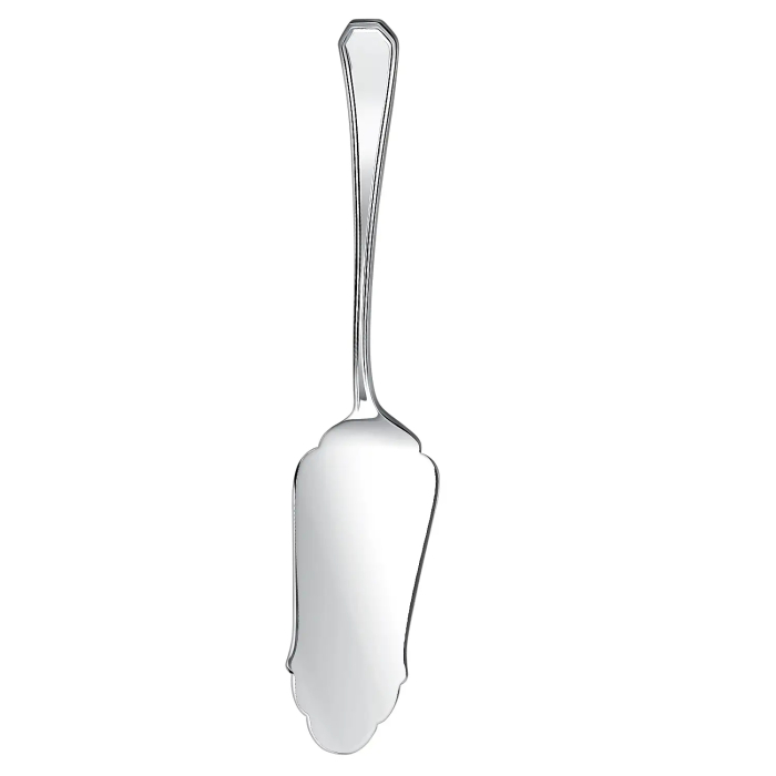 Silver spatula for Elegant cake