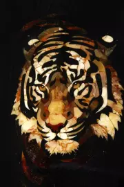 Нарды из ясеня и янтаря "Тигр"