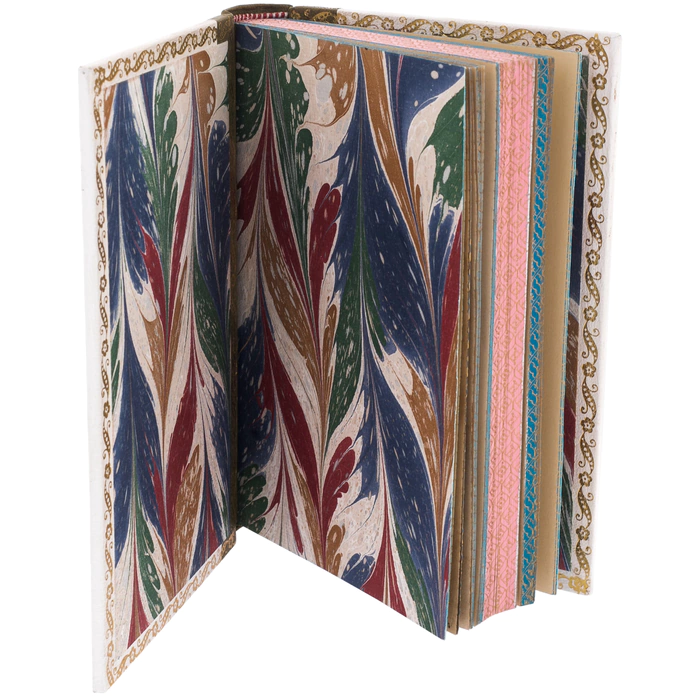 Antique leather-bound book "The Physiology of pleasure" 1890.