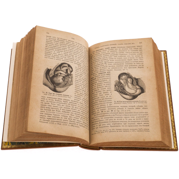 An antique book in a bibliophile leather cover "Mother and child" by V.N. Zhuk in 1885.