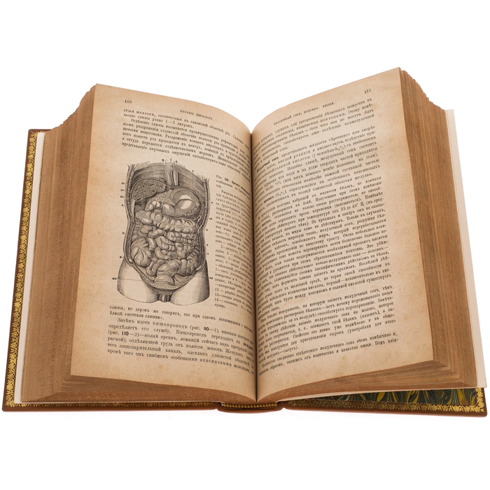 An antique book in a bibliophile leather cover "Mother and child" by V.N. Zhuk in 1885.