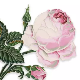 Silver brooch "Roses of the Winter Palace" collection "Herbarium of Tatyana Polyakova"