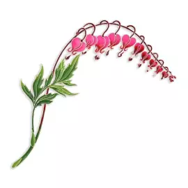 Брошь серебряная "Дицентра" коллекции "Гербарий Татьяны Поляковой"