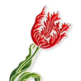 Брошь серебряная "Тюльпан Елагин" коллекции "Гербарий Татьяны Поляковой"