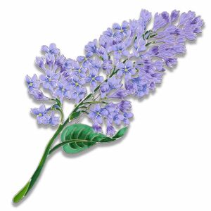 Silver brooch "Lilac" collection "Herbarium of Tatiana Polyakova"