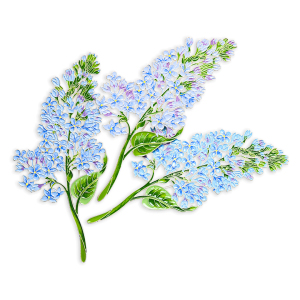 Silver brooch "Lilac" collection "Herbarium of Tatiana Polyakova"