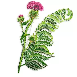 Брошь серебряная "Чертополох" коллекции "Гербарий Татьяны Поляковой"