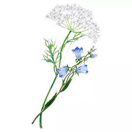 Silver brooch "Bell" of the collection "Herbarium of Tatyana Polyakova"