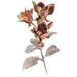 The author's bronze sculpture "Magnolia"